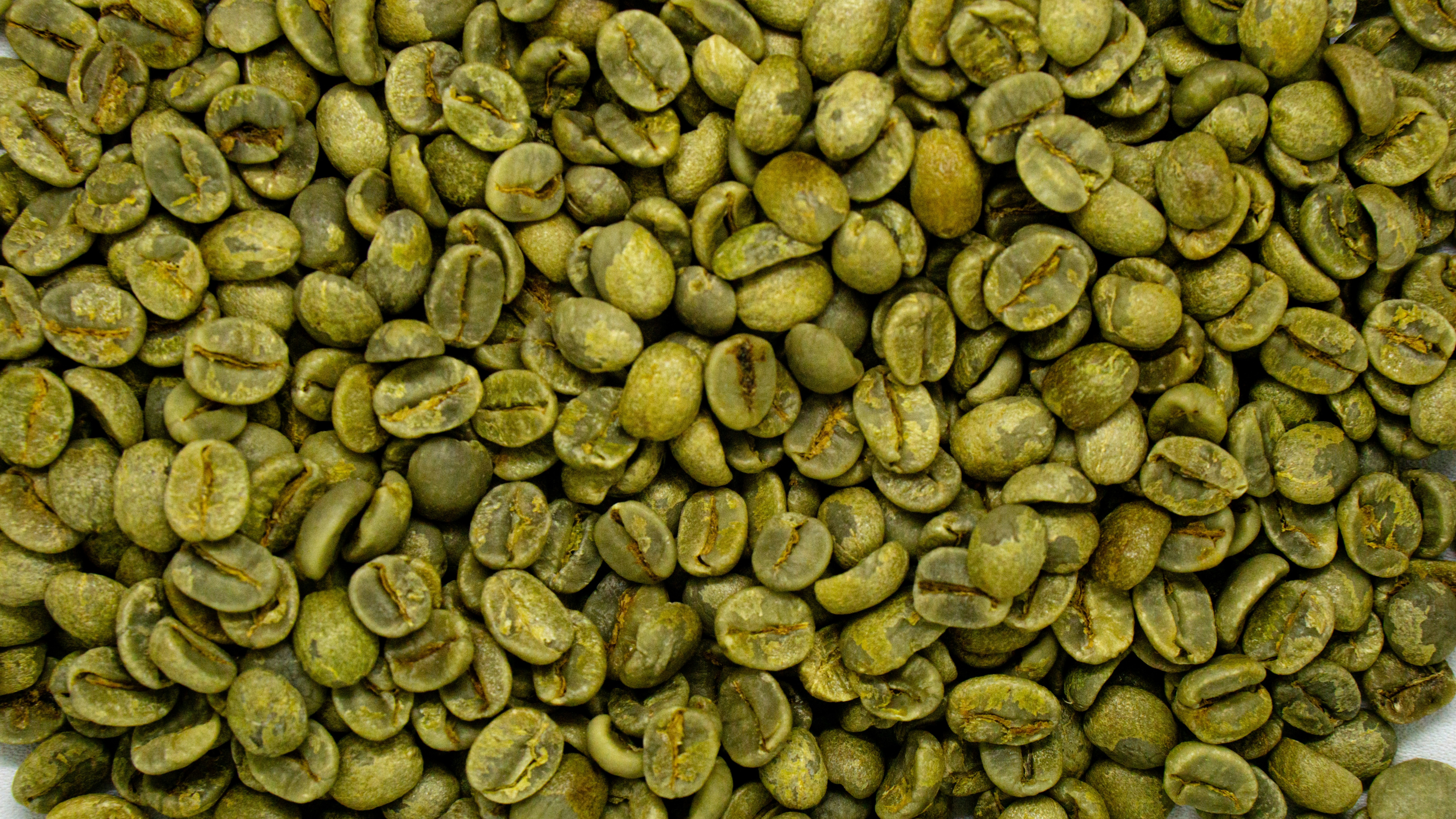 Coffee Beans