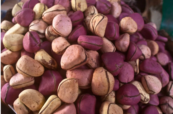 Kola Nut