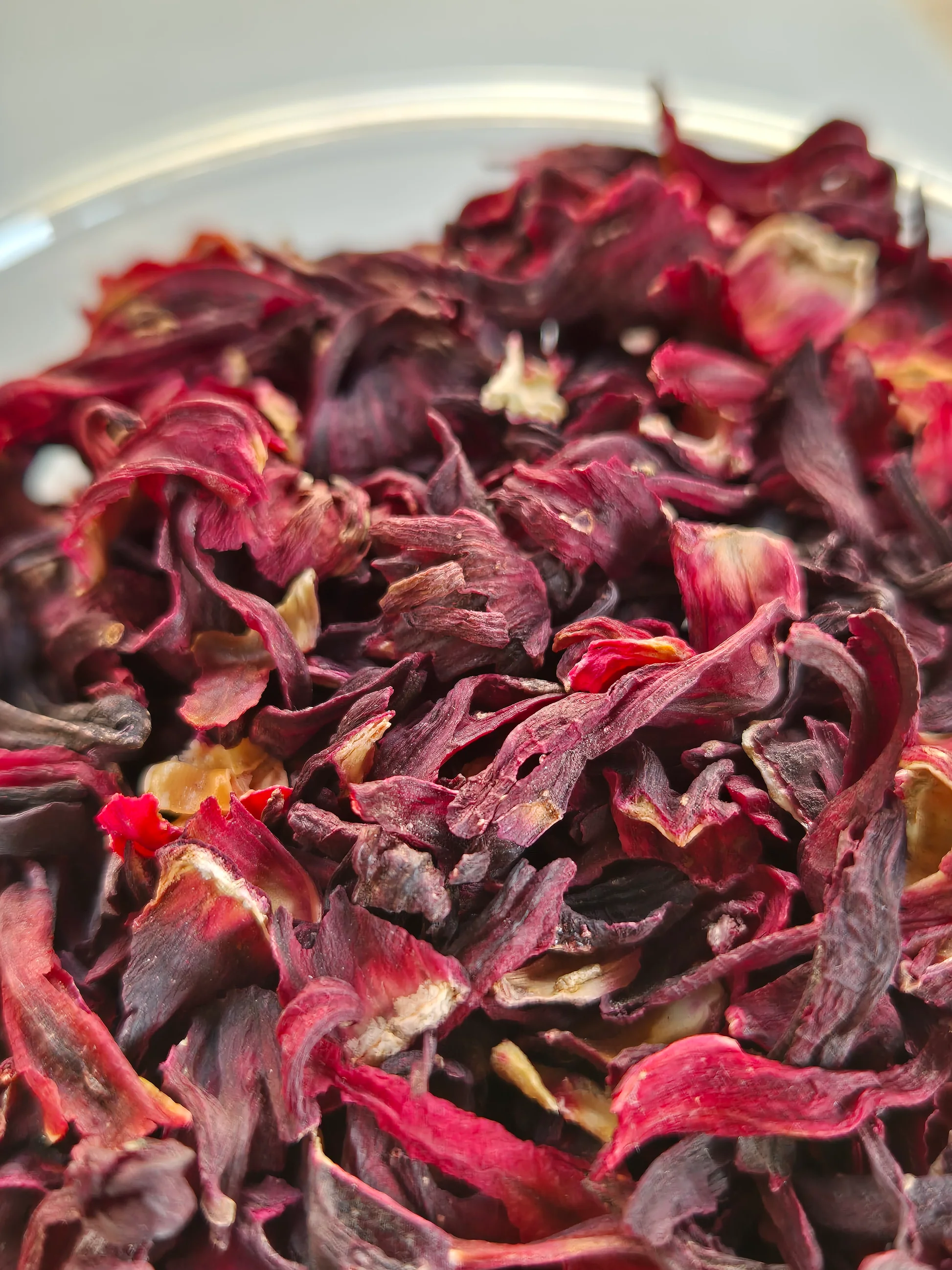 Hibiscus