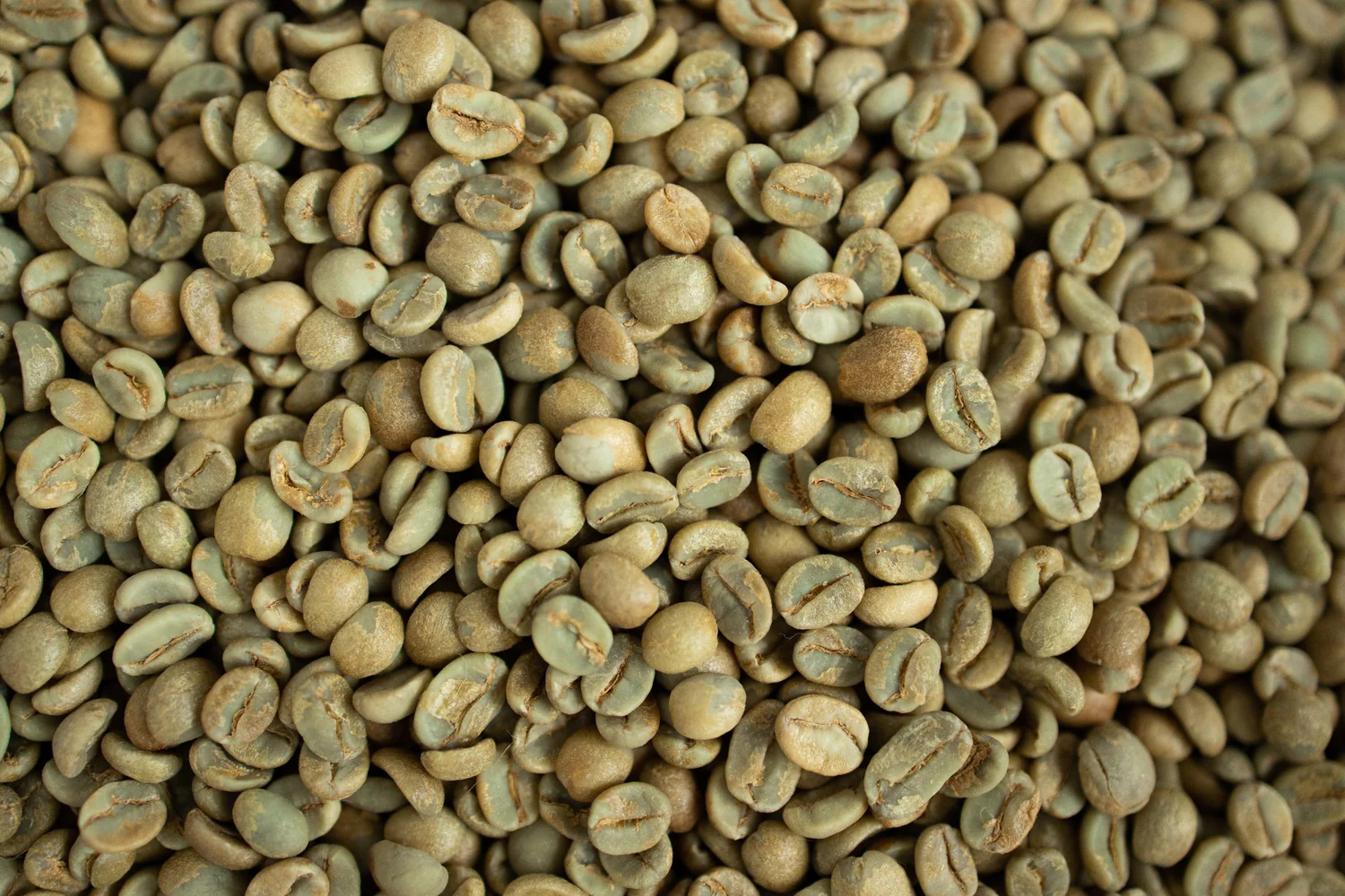 East Timor Coffee