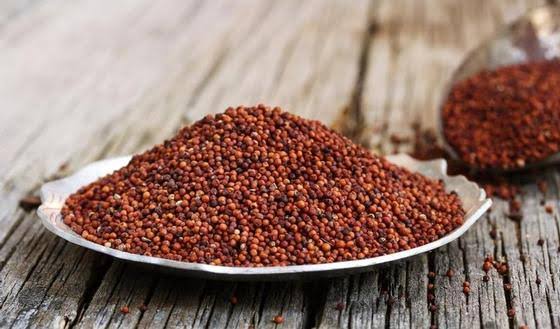 Red Millet