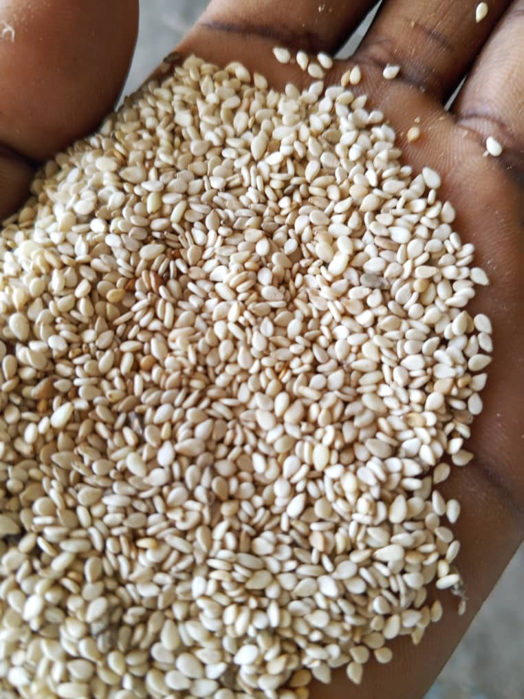 Sesame Seeds