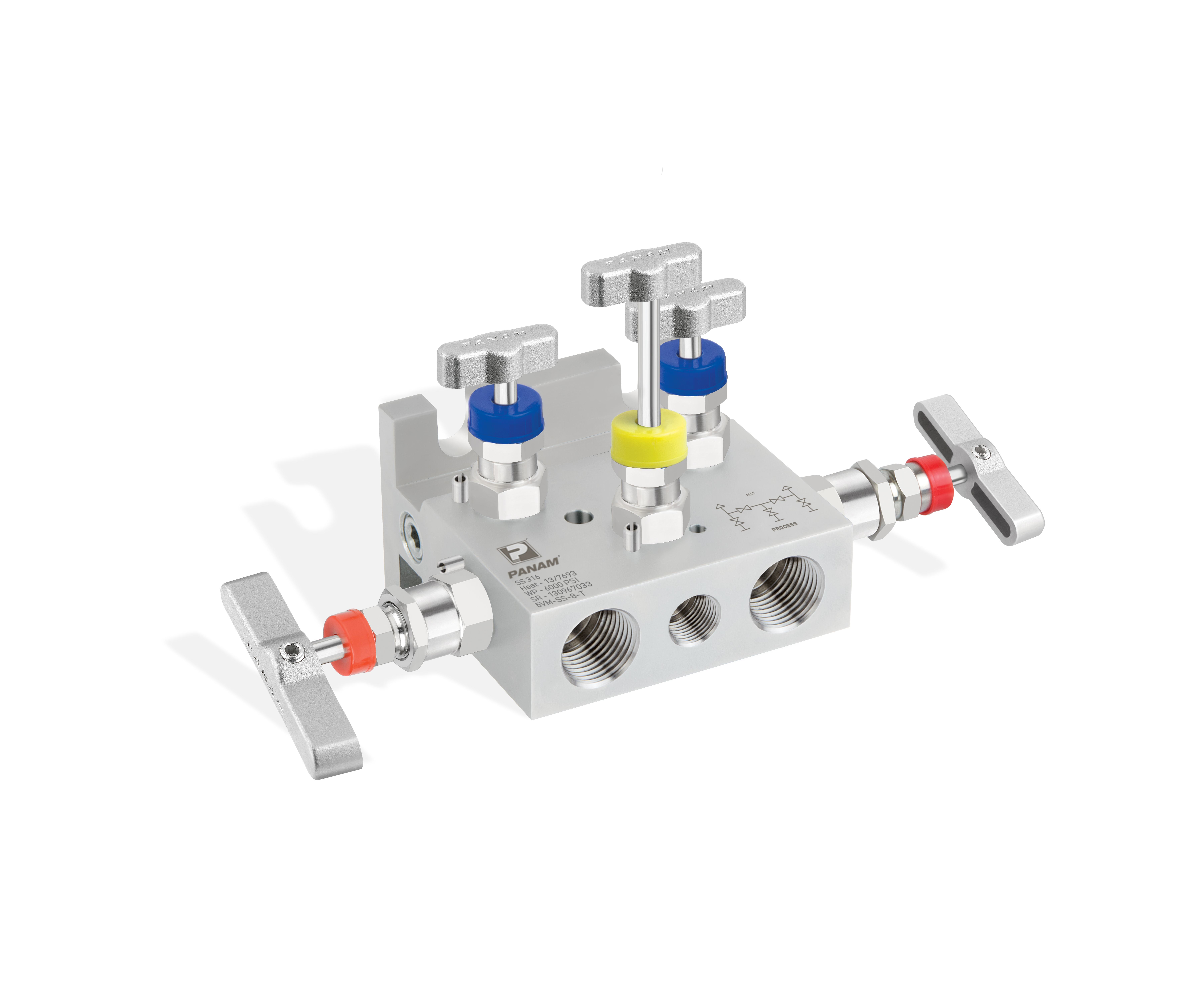 5-Valve Manifolds