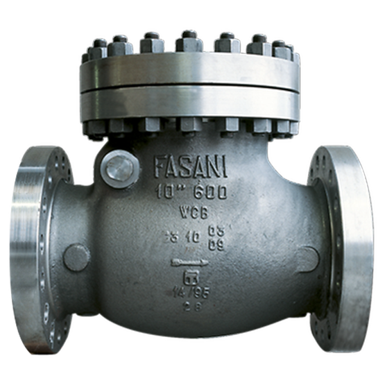 Fasani Bolted Bonnet Check Valves