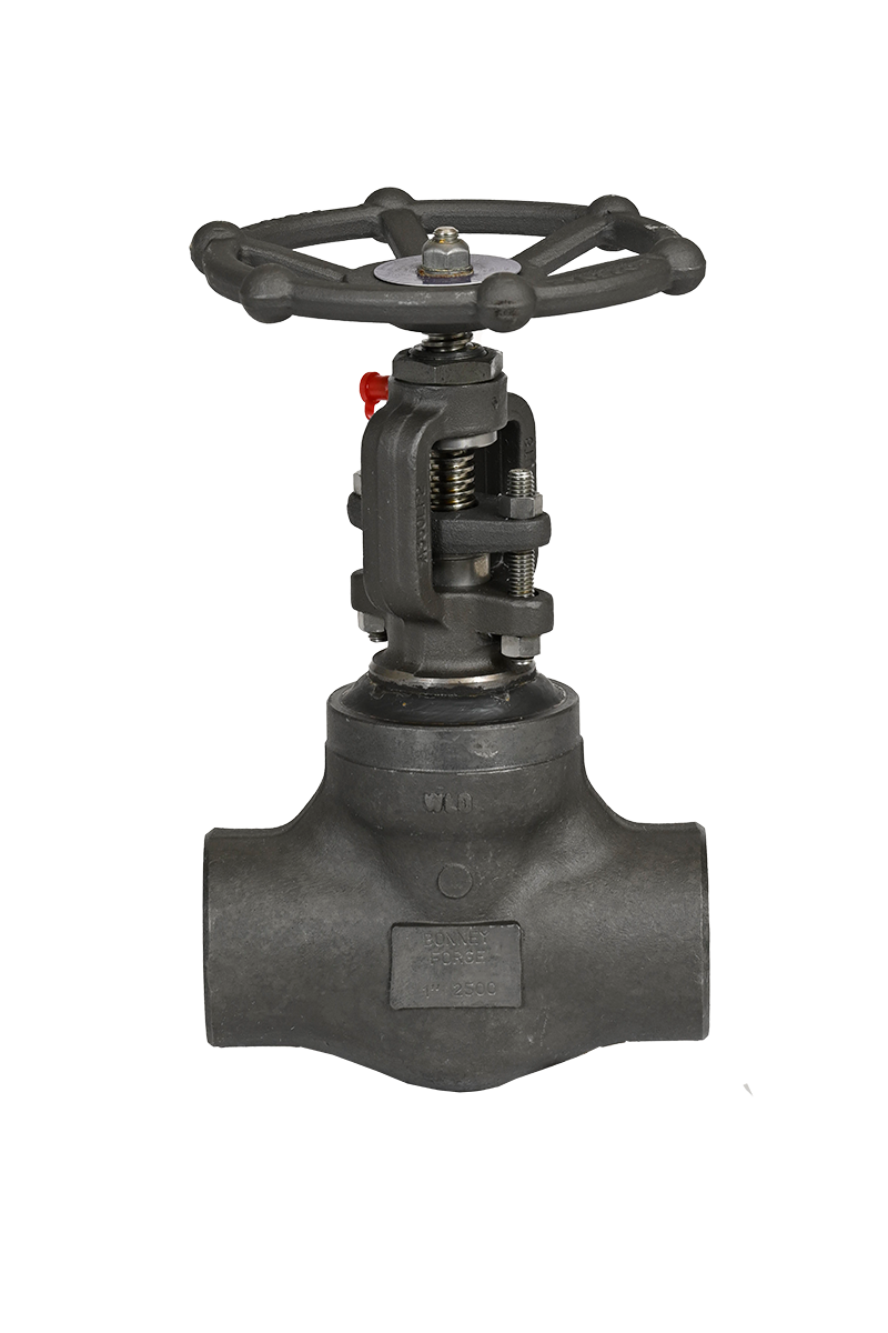 Globe Valves – Welded Bonnet